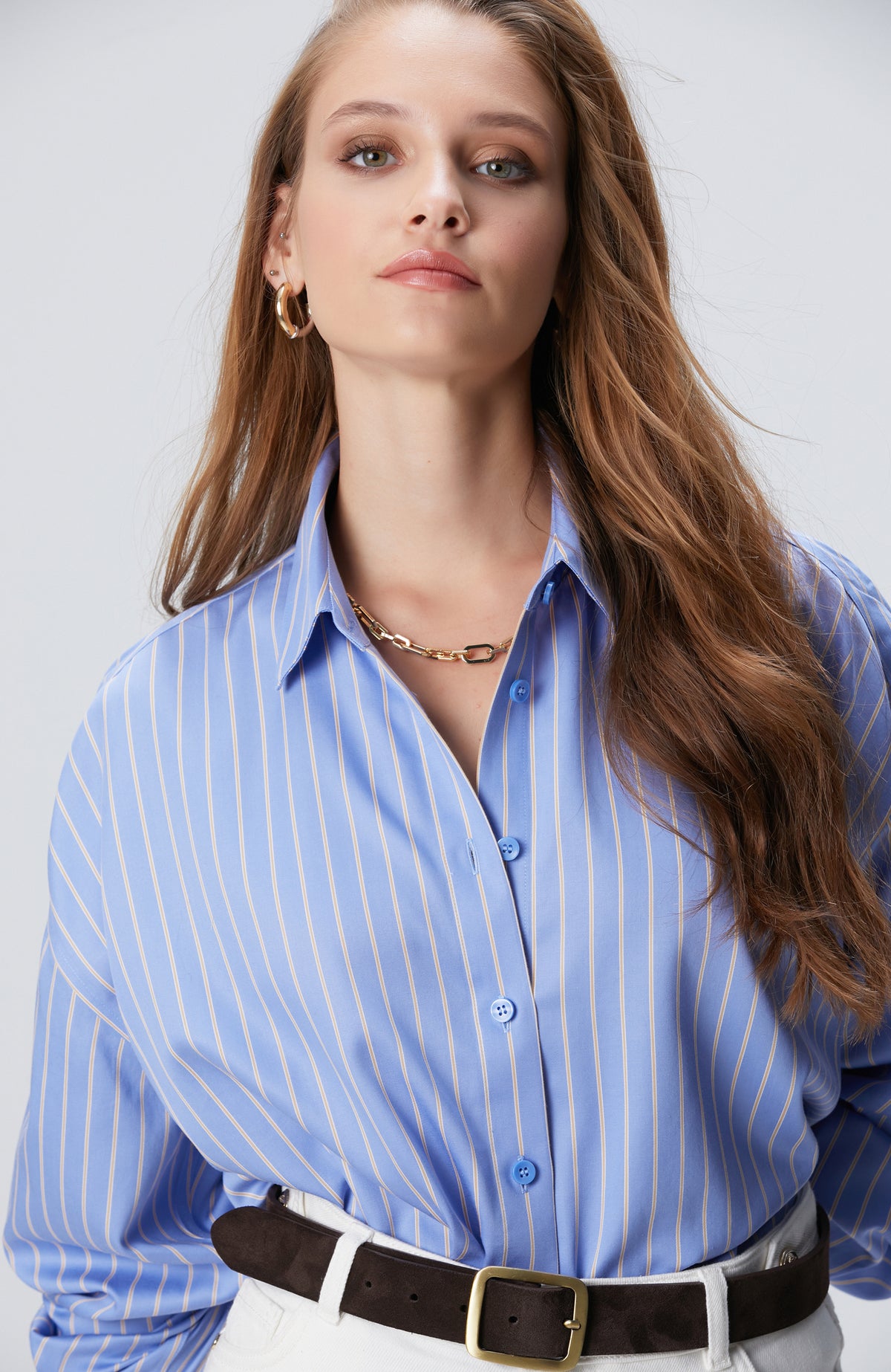WOMEN'S Blue Beige Striped Non-Iron Shirt